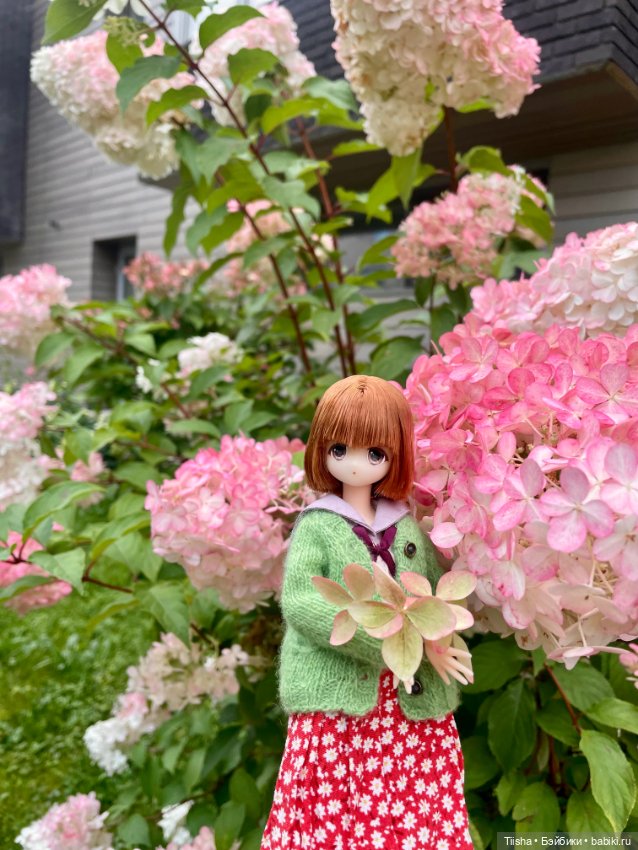 Азоночка Meril — Куклы Azone (Азон) и тела Pure Neemo: фото (фото 4)