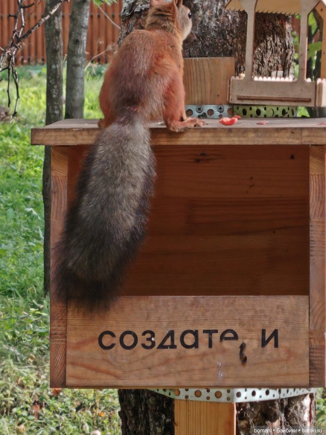 В последнюю неделю лета — Куклы Miroxdolls (Оксана Миронова): российские БЖД (фото 6)