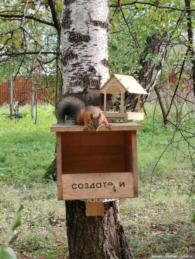 В последнюю неделю лета — Куклы Miroxdolls (Оксана Миронова): российские БЖД (фото 4)