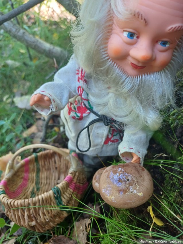 Как Петрович по грибы ходил 🍄 (фото 3)