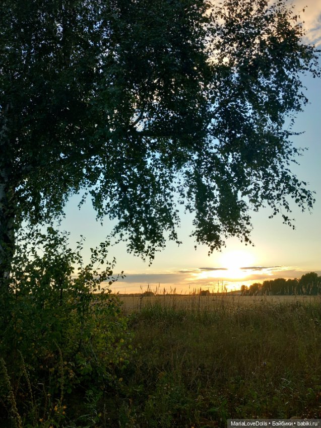От рассвета до заката... Или осенний день с Хейзел