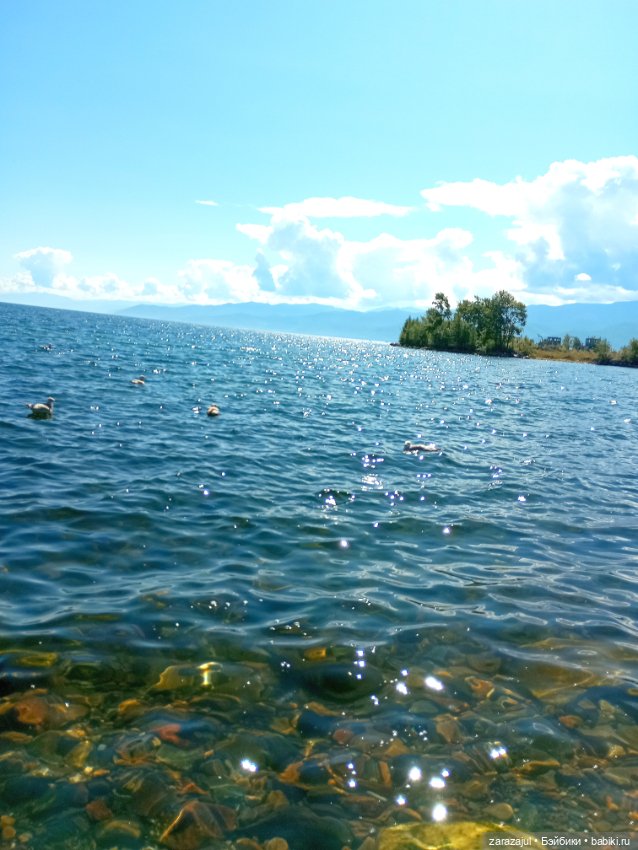 Август, Байкал, Шурка и Айка (фото 6)
