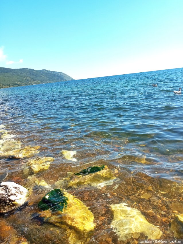 Август, Байкал, Шурка и Айка (фото 8)