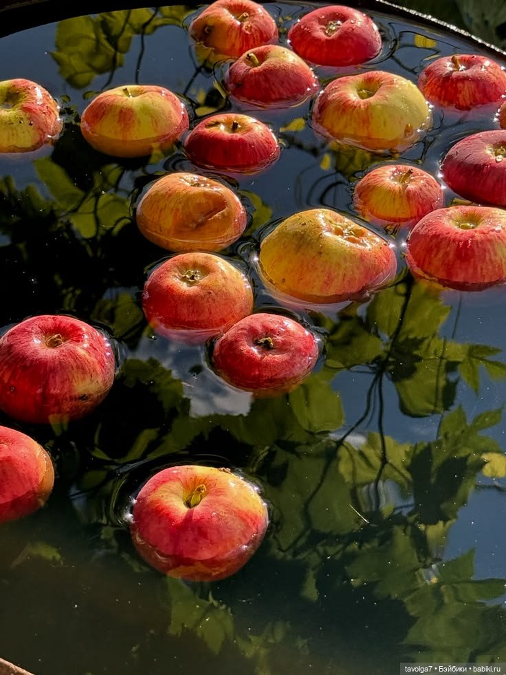 Soft Summer-Autumn - в стиле Cottagecore