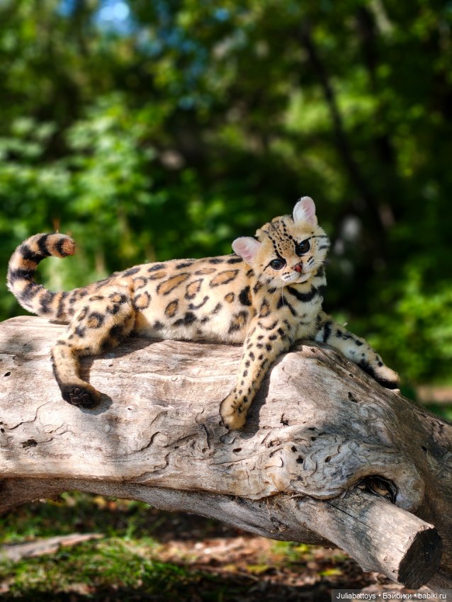 Редкая кошка маргай. Авторская игрушка (фото 10)