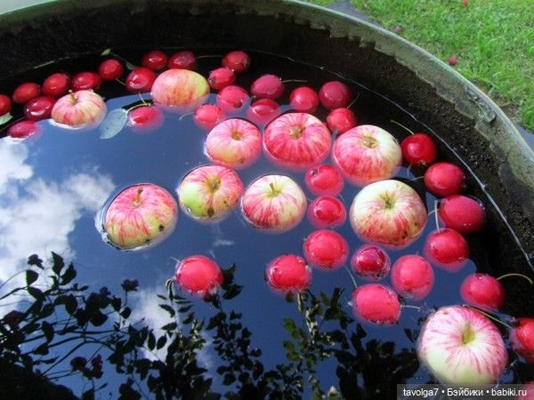 Soft Summer-Autumn - в стиле Cottagecore