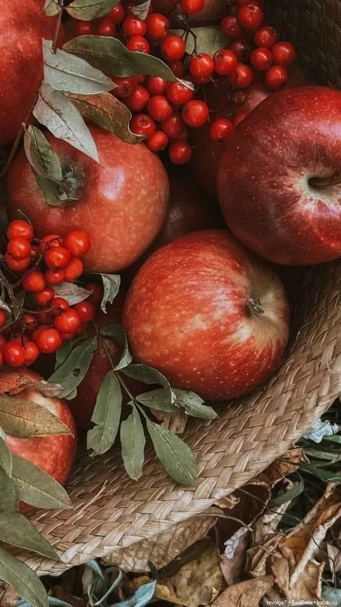 Soft Summer-Autumn - в стиле Cottagecore