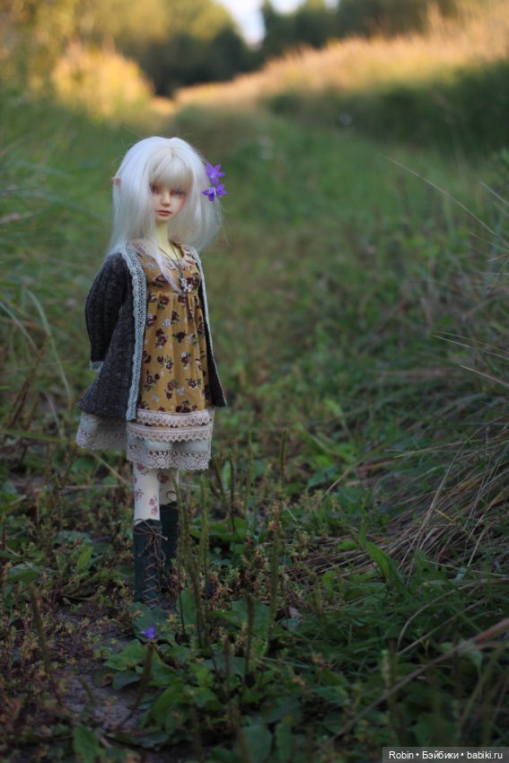 Проводы лета — Разные куклы BJD (БЖД): редкие бренды (фото 2)