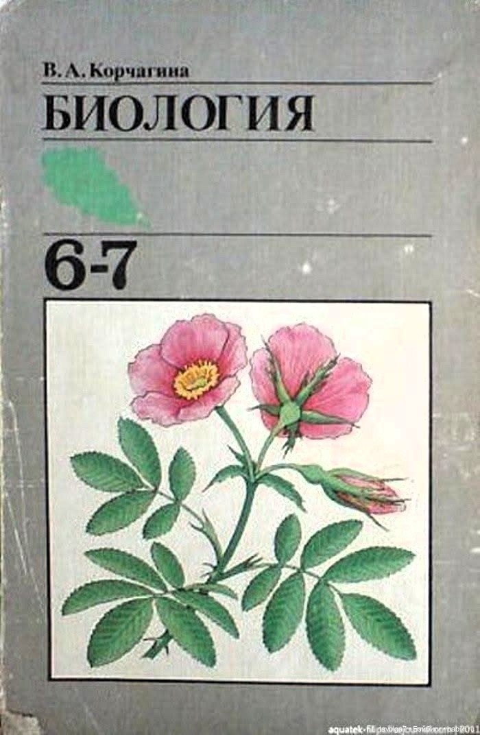 День Знаний 1950е-1980е — Культура