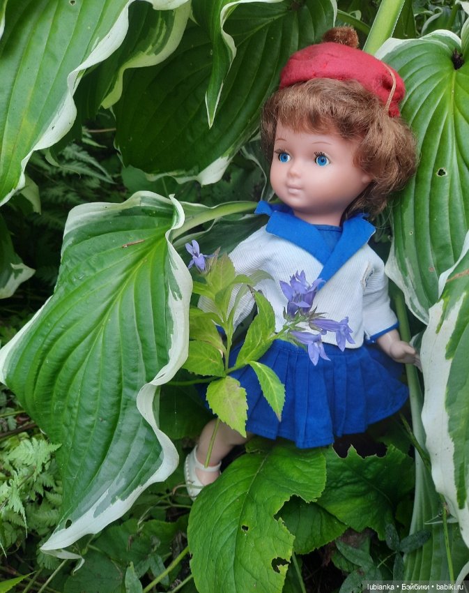 "Я мечтала о морях и кораллах"...🌊🐚🐟🦋