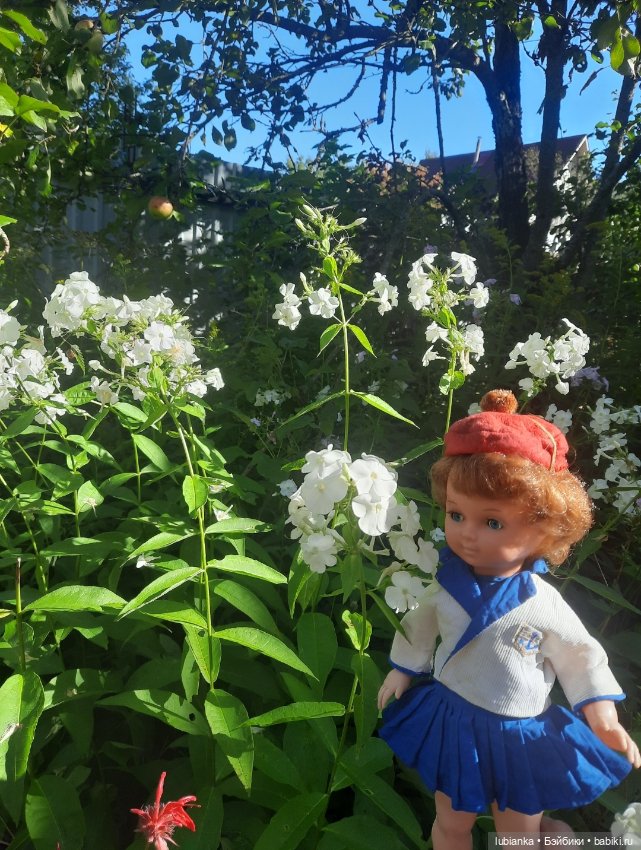 "Я мечтала о морях и кораллах"...🌊🐚🐟🦋