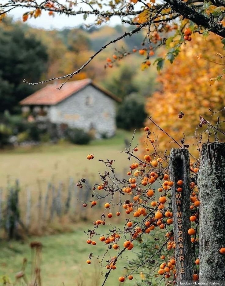 Soft Autumn - травы в керамике (фото 2)