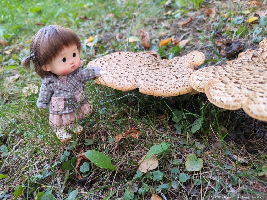 Прощание с летом — Авторские куклы BJD (БЖД) у нас дома: фото (фото 10)