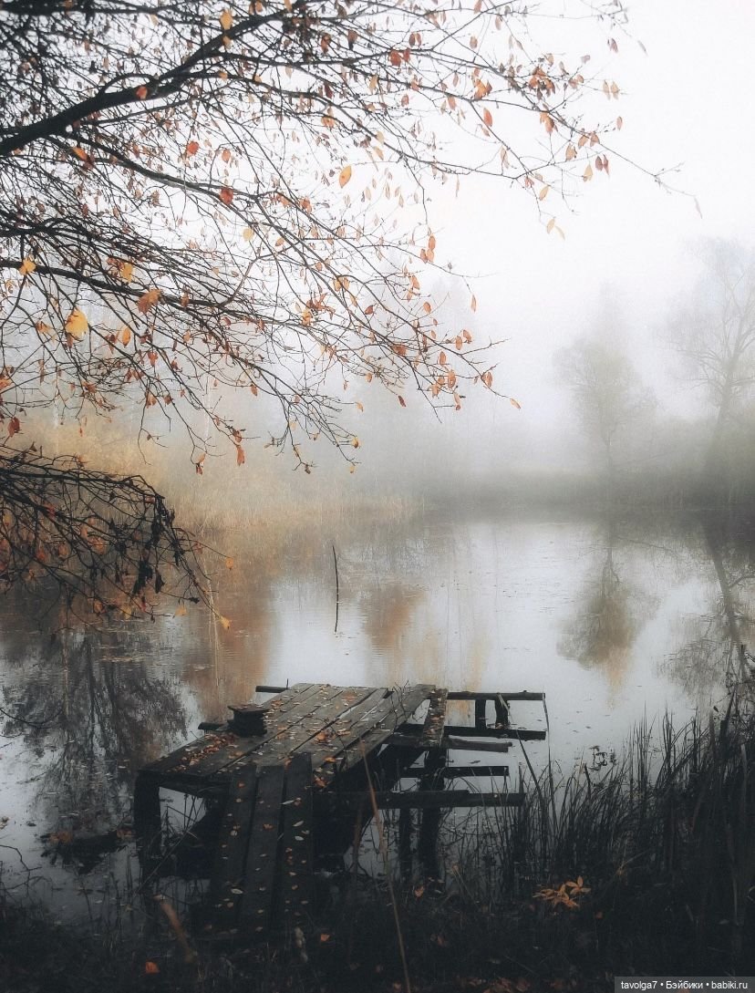 Soft Autumn - серые тона — Сочетание цветов: палитры для одежды и интерьера (фото 9)