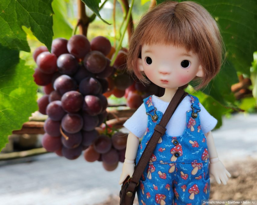 Отдыхаем с Птичкой — Авторские куклы BJD (БЖД) у нас дома: фото (фото 8)