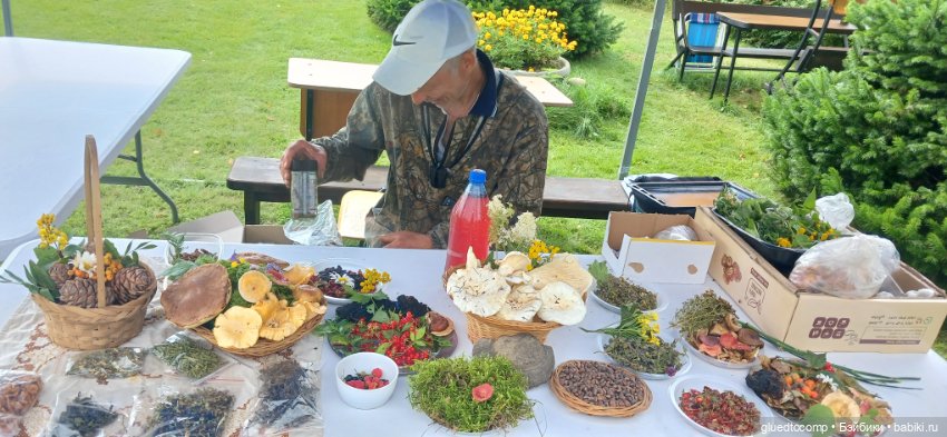 Лето в деревне — Туризм и путешествия: фотоотчеты из поездок
