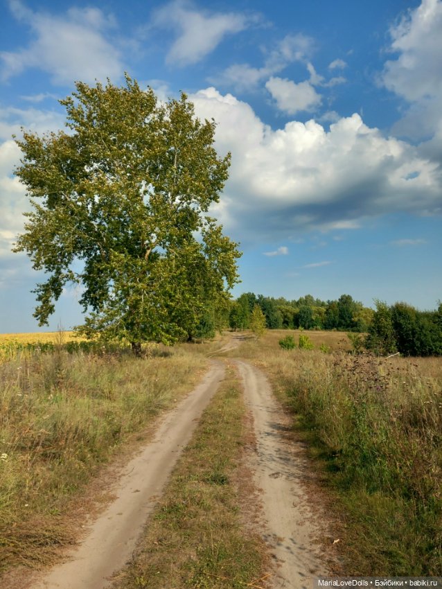В лес за орехами с Лёлькой и Че (фото 9)