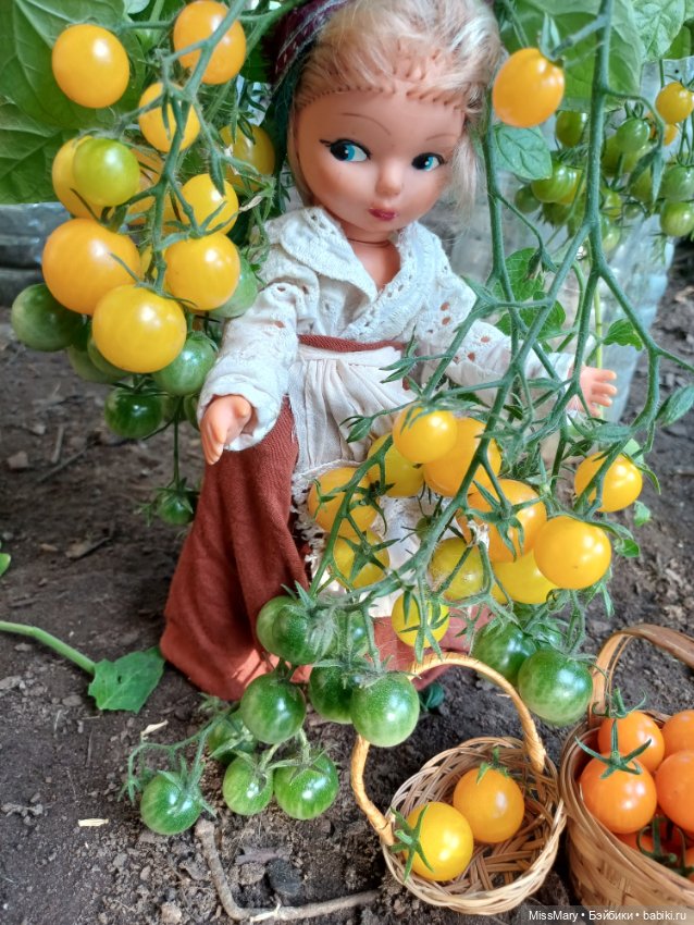 Анькины помидоры 🍅🍅🍅 — Винтажные куклы ГДР (Немки): Бигги