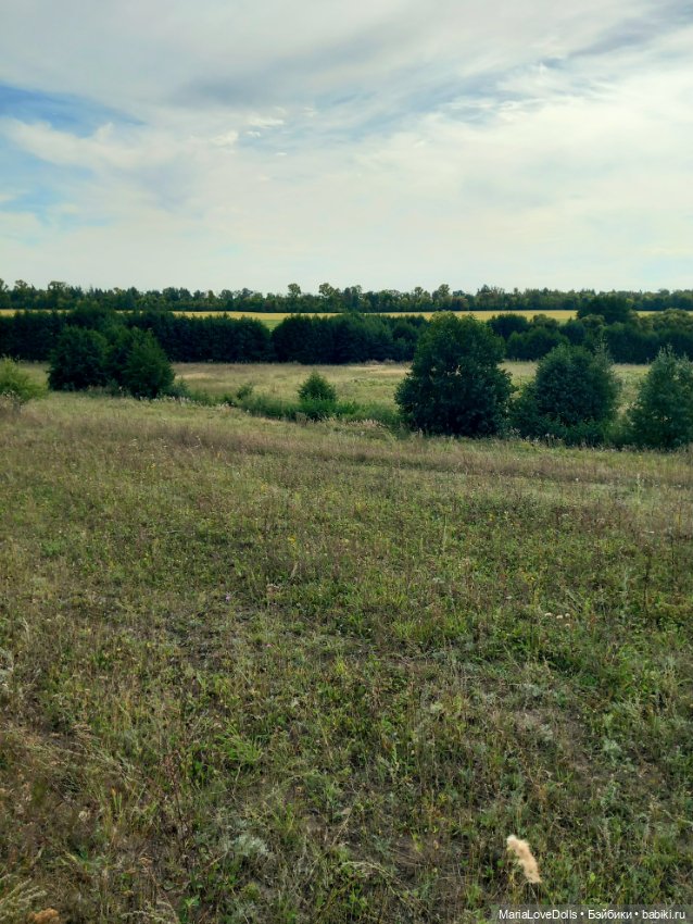 В лес за орехами с Лёлькой и Че