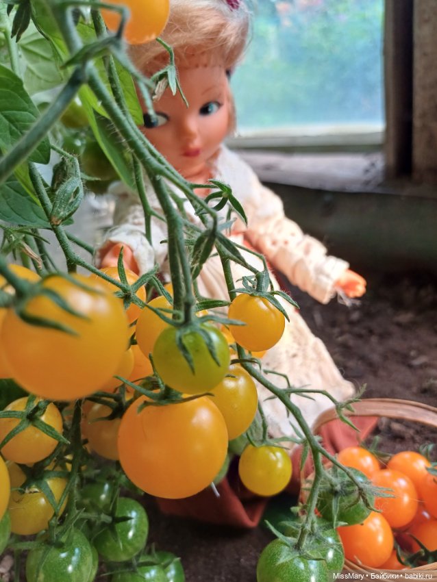 Анькины помидоры 🍅🍅🍅 — Винтажные куклы ГДР (Немки): Бигги (фото 9)