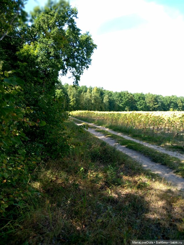 В лес за орехами с Лёлькой и Че