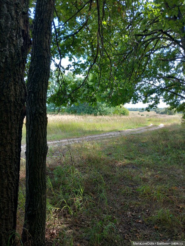 В лес за орехами с Лёлькой и Че