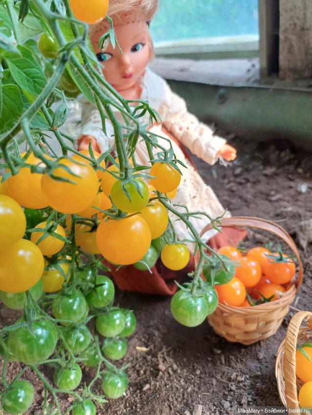 Анькины помидоры 🍅🍅🍅 — Винтажные куклы ГДР (Немки): Бигги (фото 10)