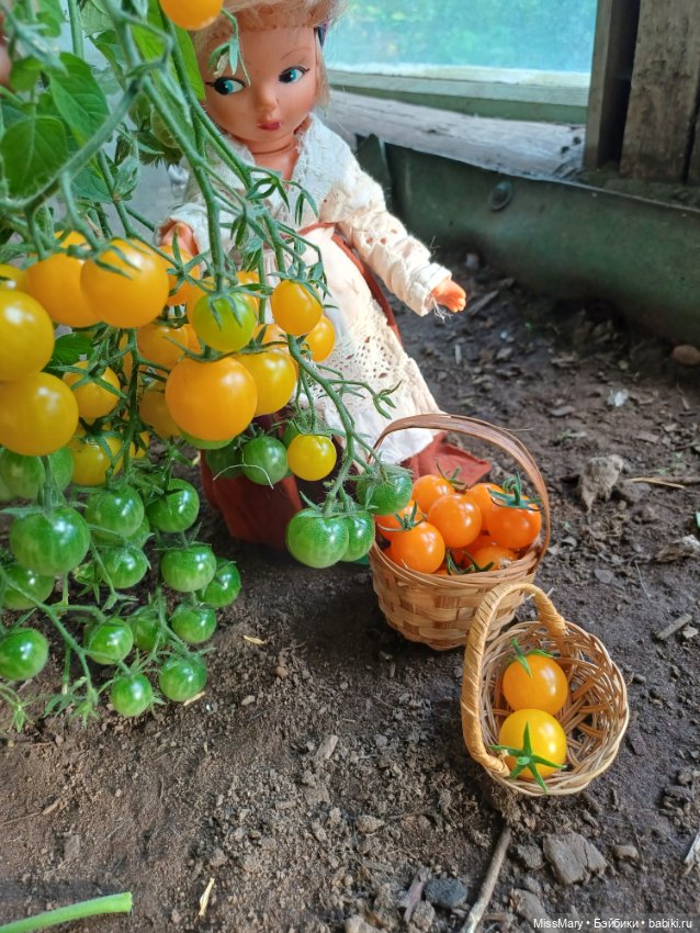 Анькины помидоры 🍅🍅🍅 — Винтажные куклы ГДР (Немки): Бигги (фото 8)