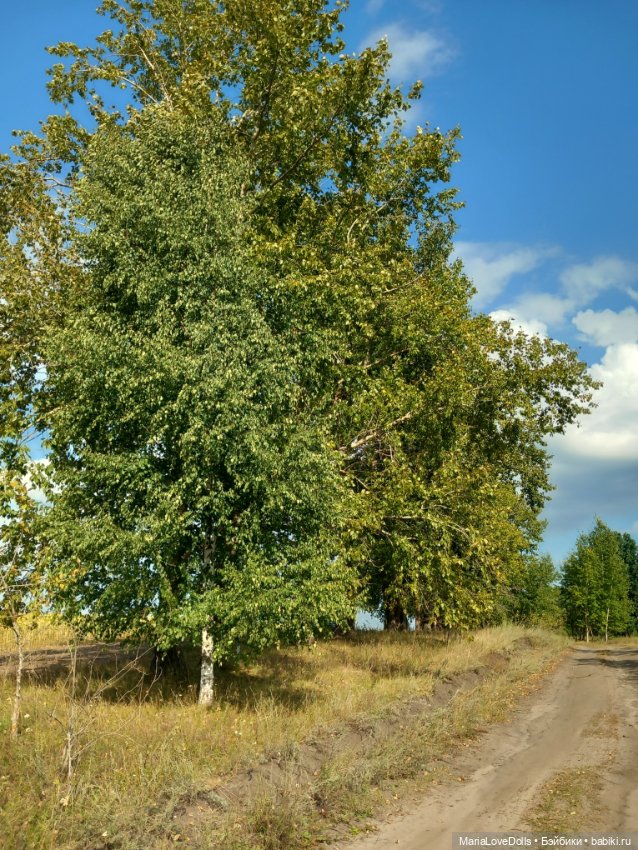 В лес за орехами с Лёлькой и Че (фото 10)