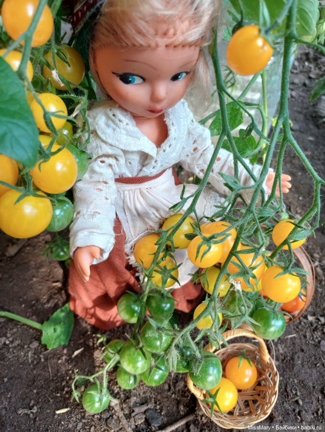 Анькины помидоры 🍅🍅🍅 — Винтажные куклы ГДР (Немки): Бигги