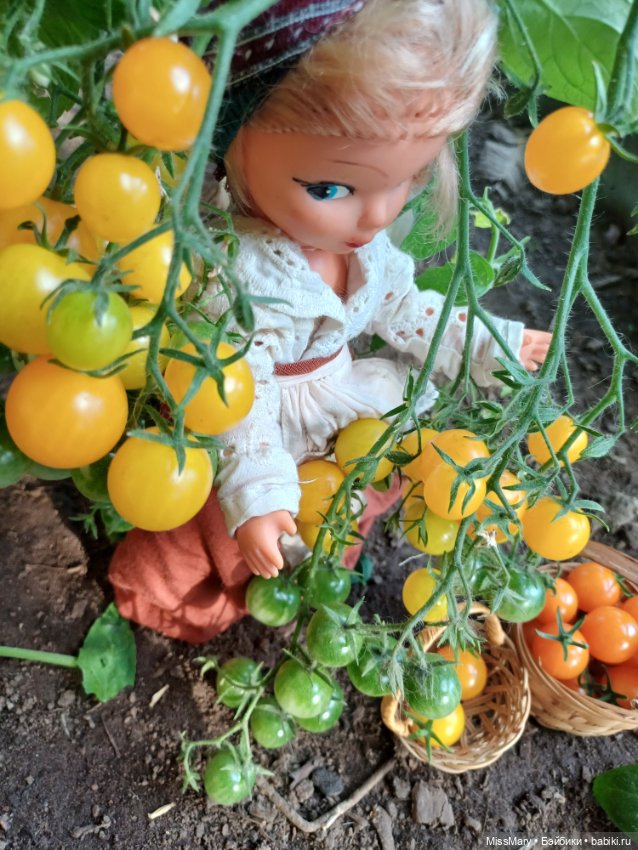 Анькины помидоры 🍅🍅🍅 — Винтажные куклы ГДР (Немки): Бигги