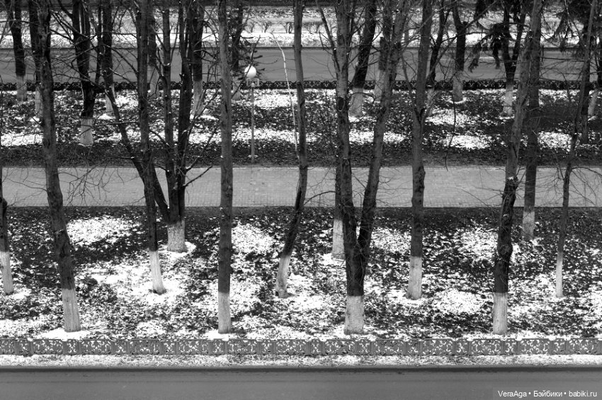 Три четверти года — Красивая природа и цветы: фото пейзажей (фото 6)