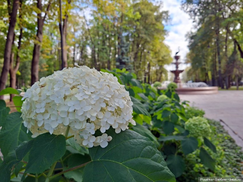 Лето Эльфочек — Азиатские виниловые куклы (разное): Китай (фото 8)