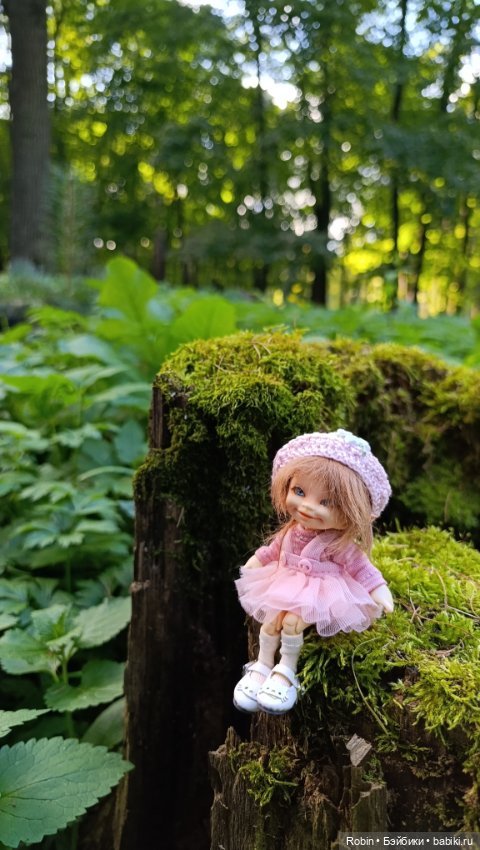 Где встретить эльфа — Куклы Fairyland (ФэйриЛэнд): BJD (БЖД) (фото 6)