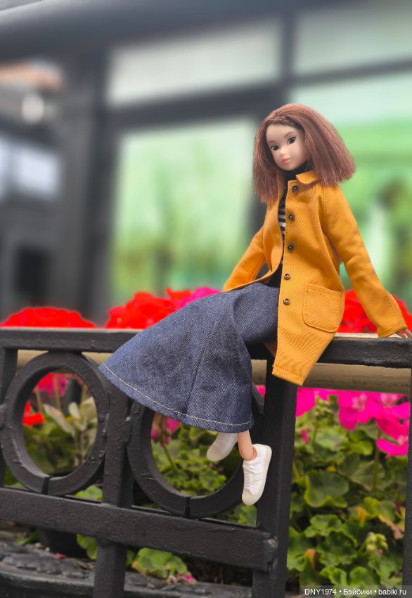 Мимоза на районе — Куклы Momoko и Ruruko (Petworks