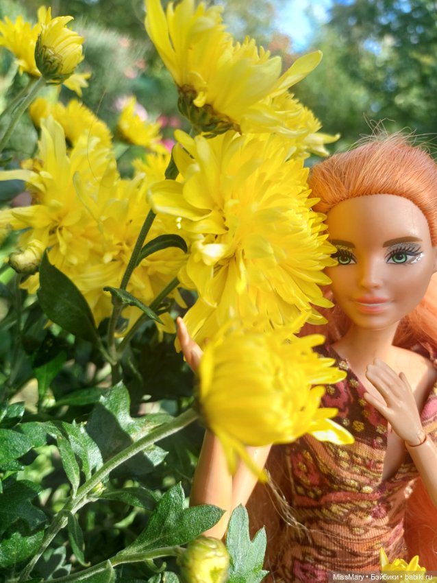 Рыжая лиса 🦊 и хризантемы 🌼