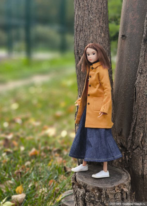 Мимоза на районе — Куклы Momoko и Ruruko (Petworks (фото 4)