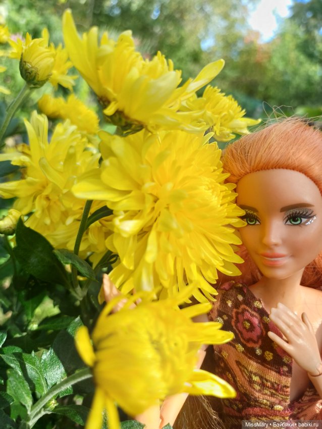 Рыжая лиса 🦊 и хризантемы 🌼
