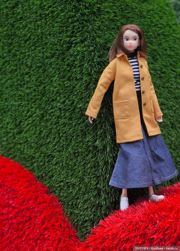 Мимоза на районе — Куклы Momoko и Ruruko (Petworks (фото 5)