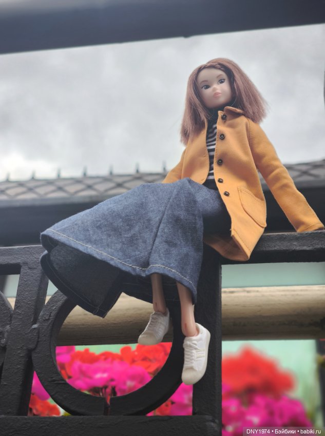 Мимоза на районе — Куклы Momoko и Ruruko (Petworks (фото 8)