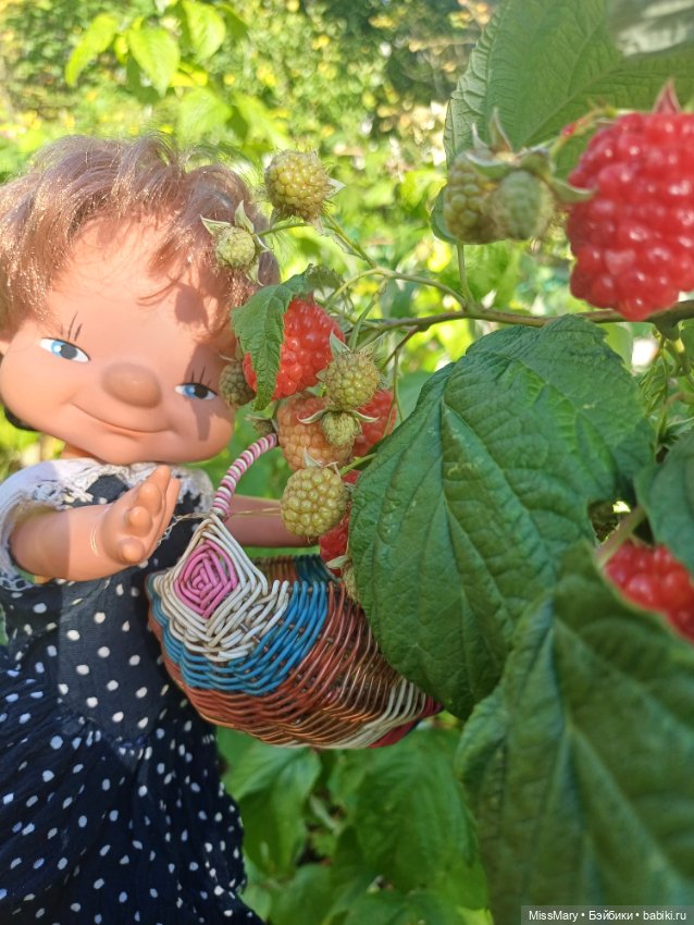 Не жизнь, а малина! Или как девчонки малину собирали (фото 8)