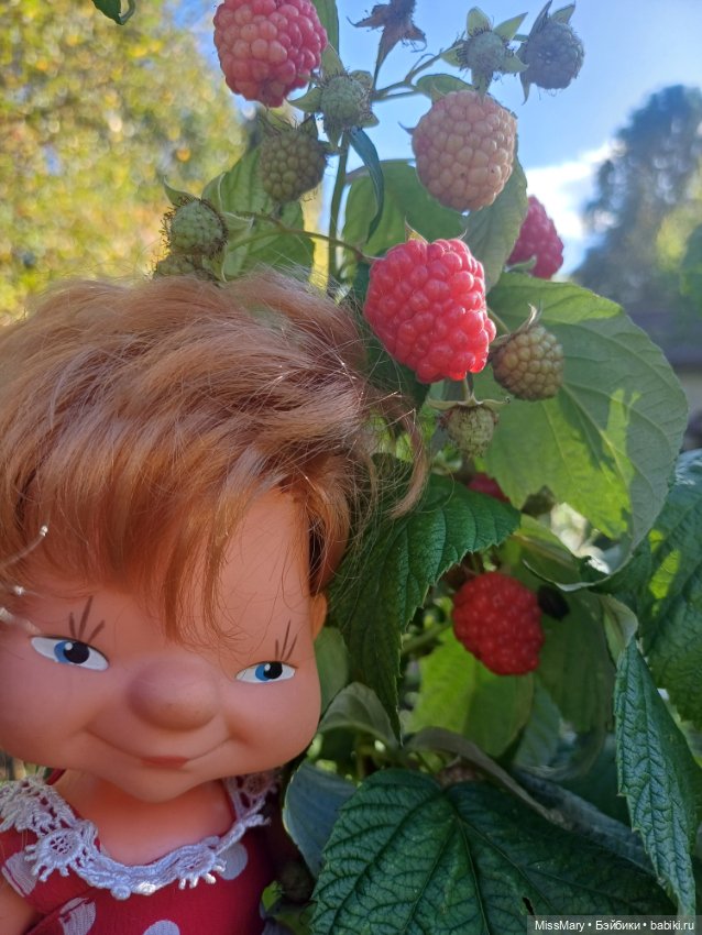 Не жизнь, а малина! Или как девчонки малину собирали (фото 6)