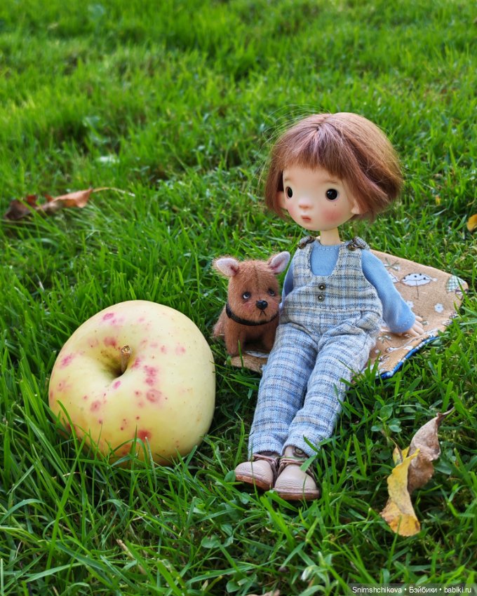 Неспешная осень — Авторские куклы BJD (БЖД) у нас дома: фото (фото 9)