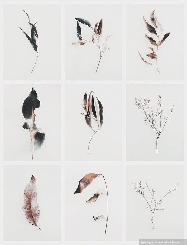 Soft Autumn - оттенки в листьях ивы