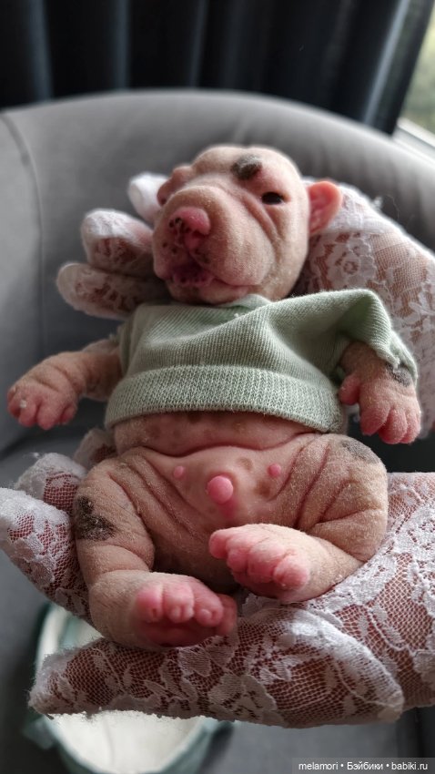 Миленький щеночек 🐶🐶🐶 — Домашние фото авторских кукол: личные коллекции (фото 3)