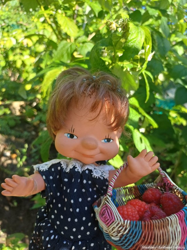 Не жизнь, а малина! Или как девчонки малину собирали
