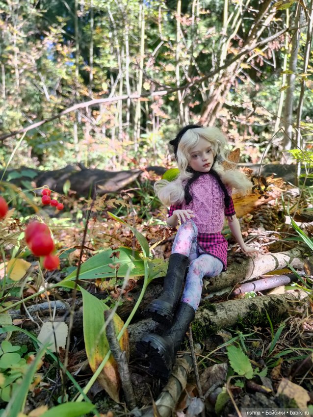 Иден и сентябрь — Разные куклы BJD (БЖД): редкие бренды