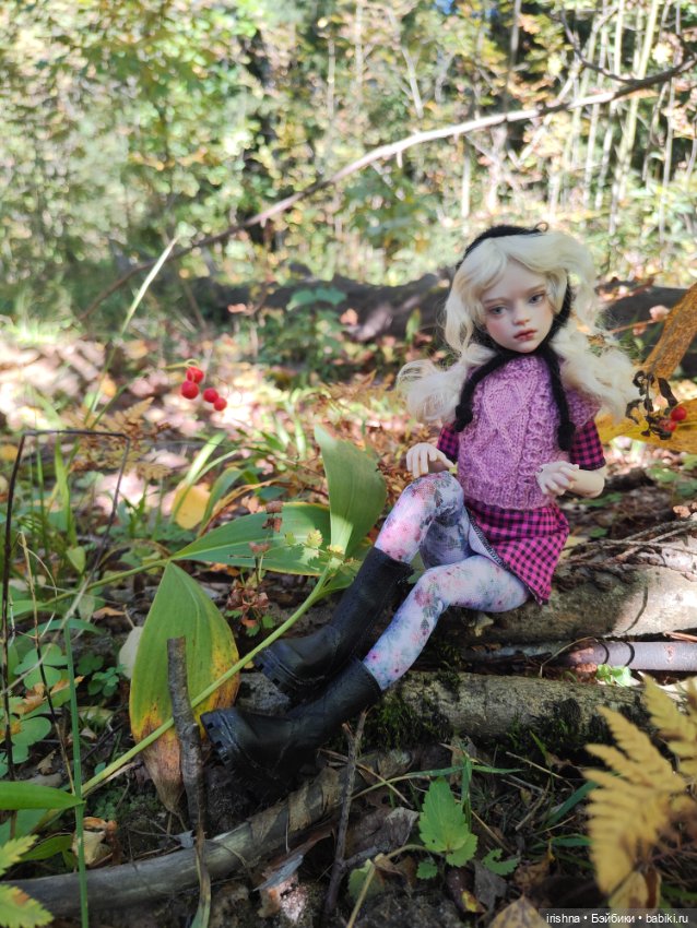 Иден и сентябрь — Разные куклы BJD (БЖД): редкие бренды