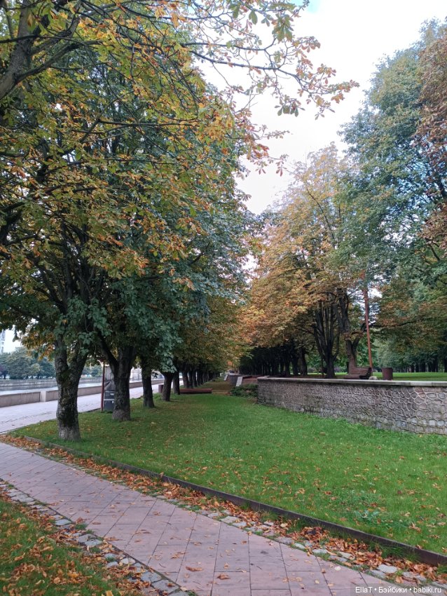 Булочка на прогулке — Куклы Барби