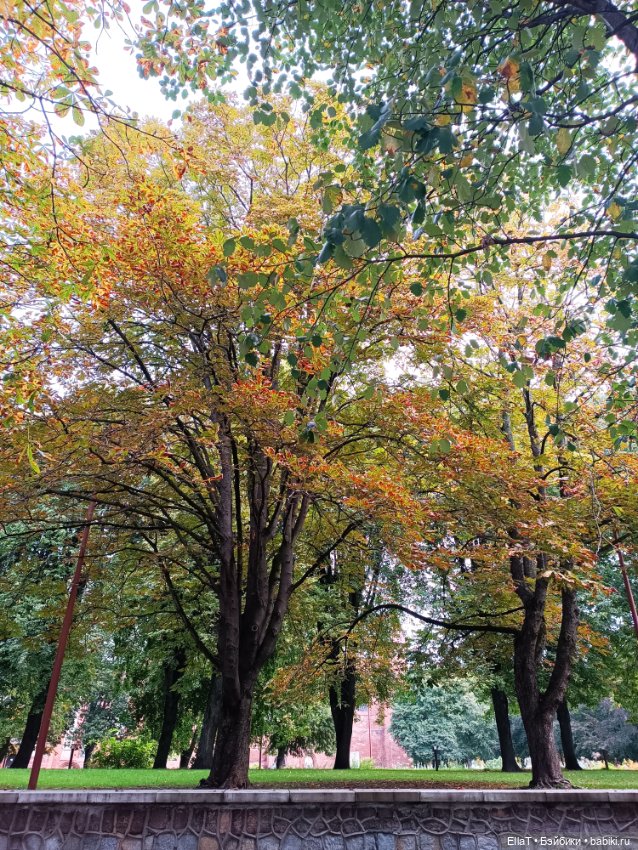 Булочка на прогулке — Куклы Барби